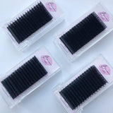 Baciama D-Curl Individual Mink Eyelash Extensions